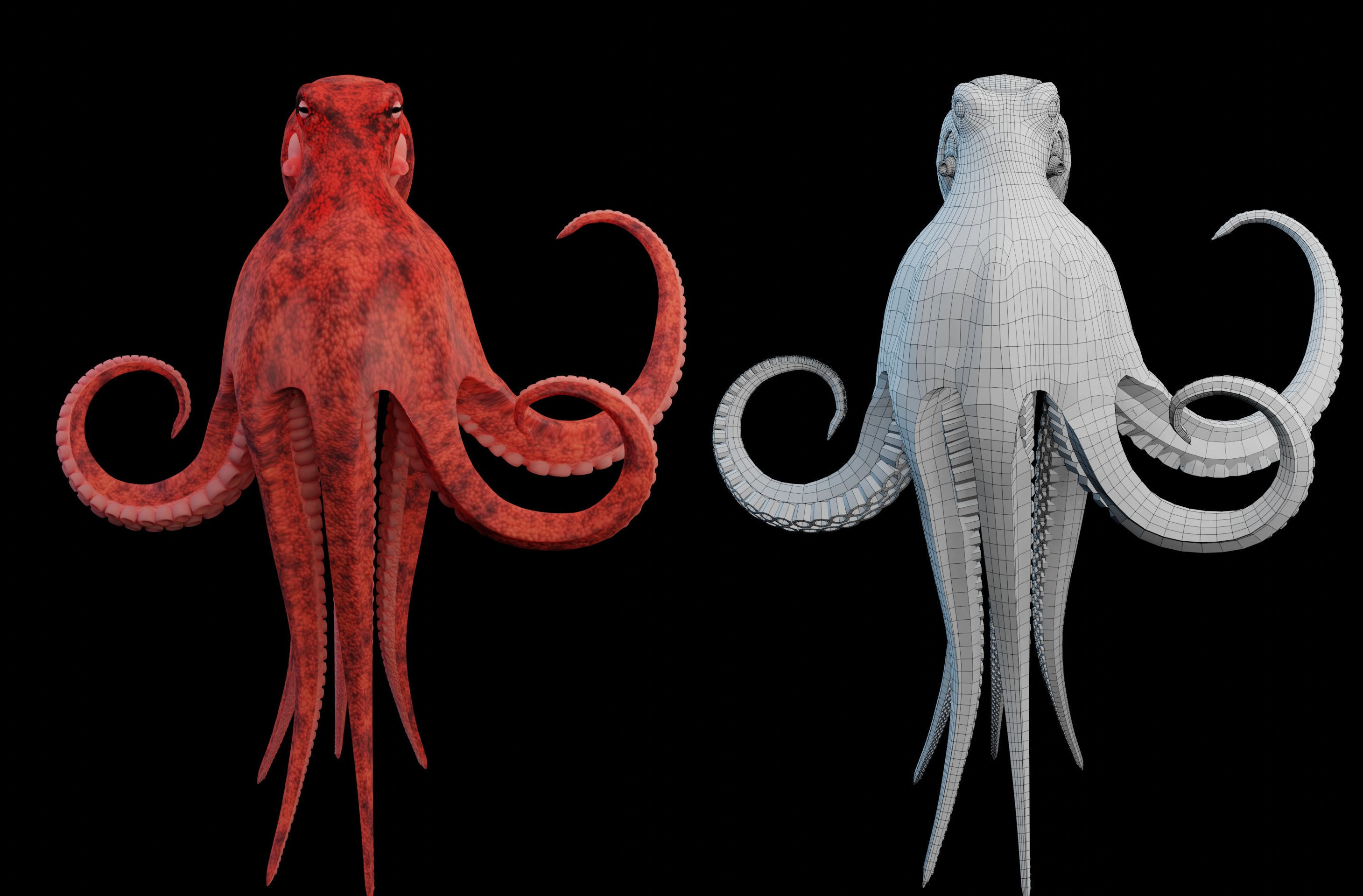 Animated Octopus Low-poly 3D model_3