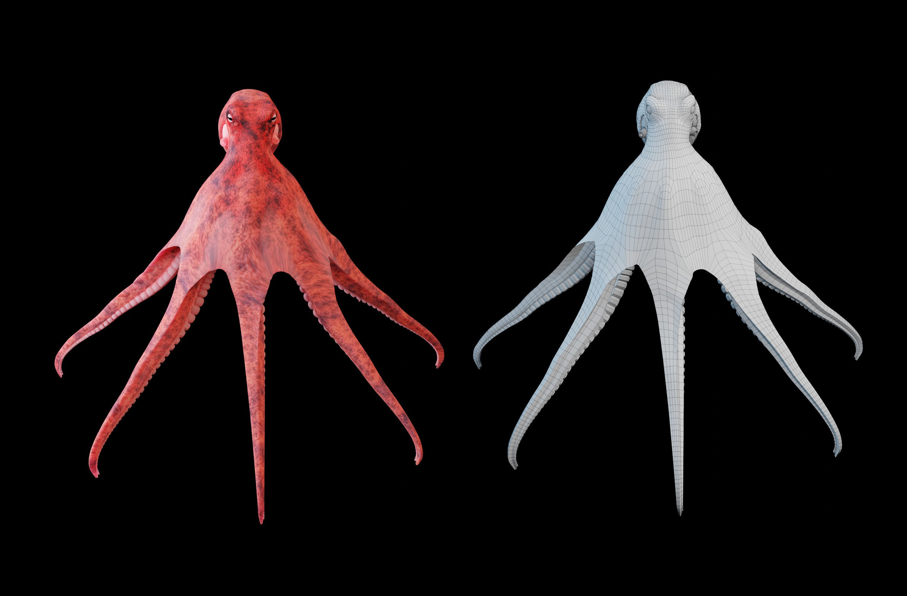 Animated Octopus Low-poly 3D model_7