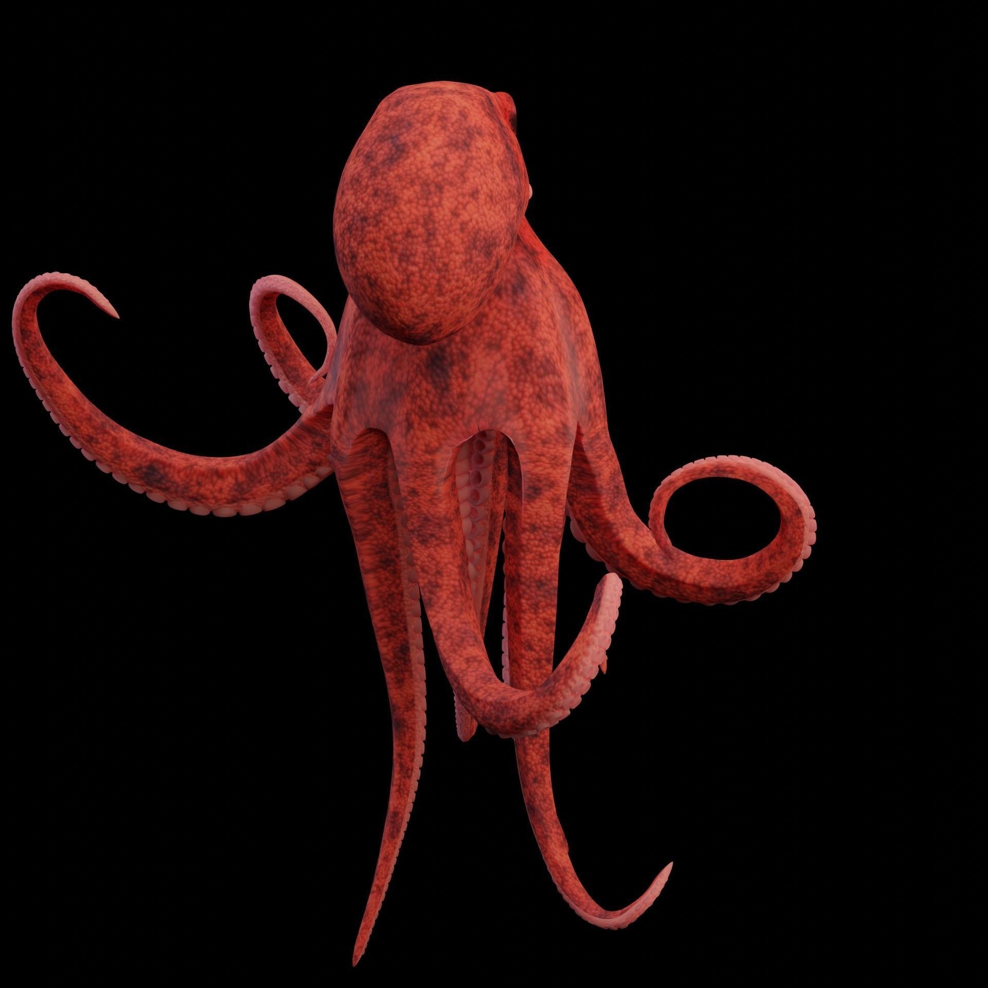 Animated Octopus Low-poly 3D model_18