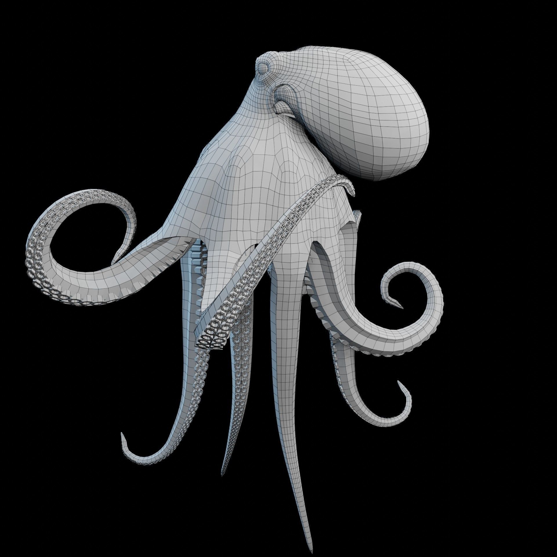 Animated Octopus Low-poly 3D model_23