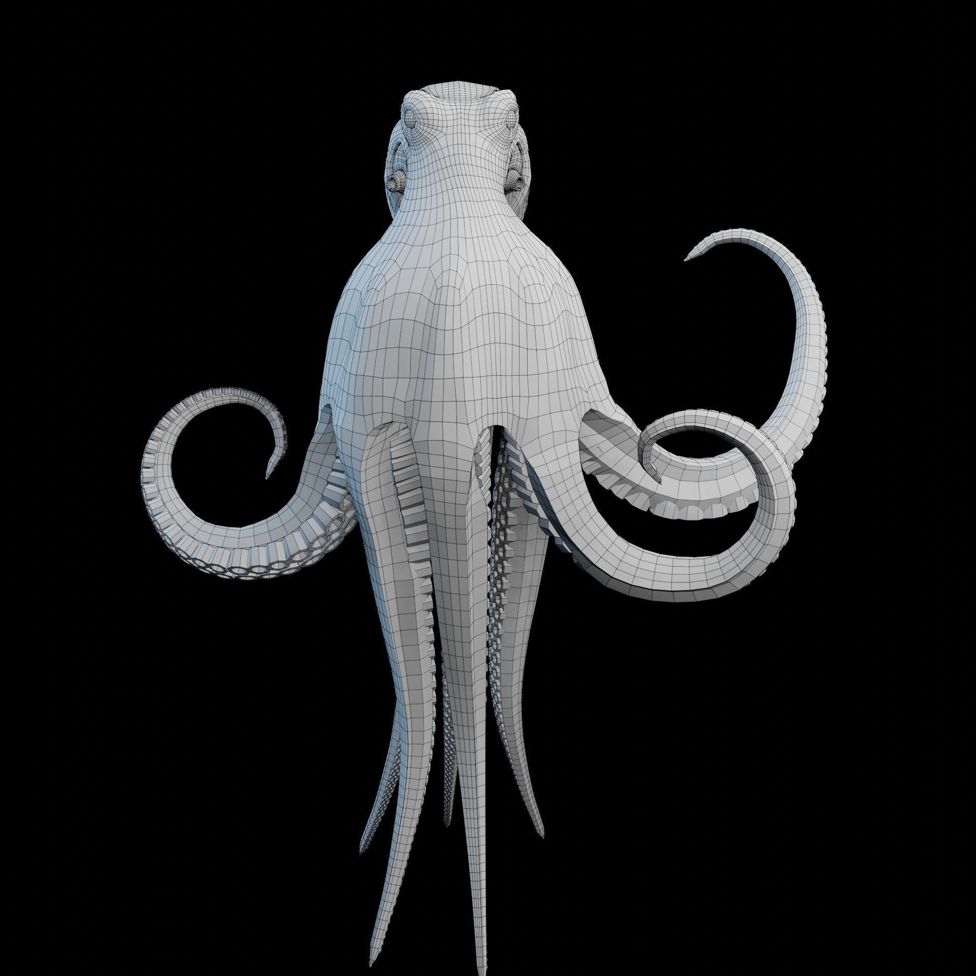 Animated Octopus Low-poly 3D model_22