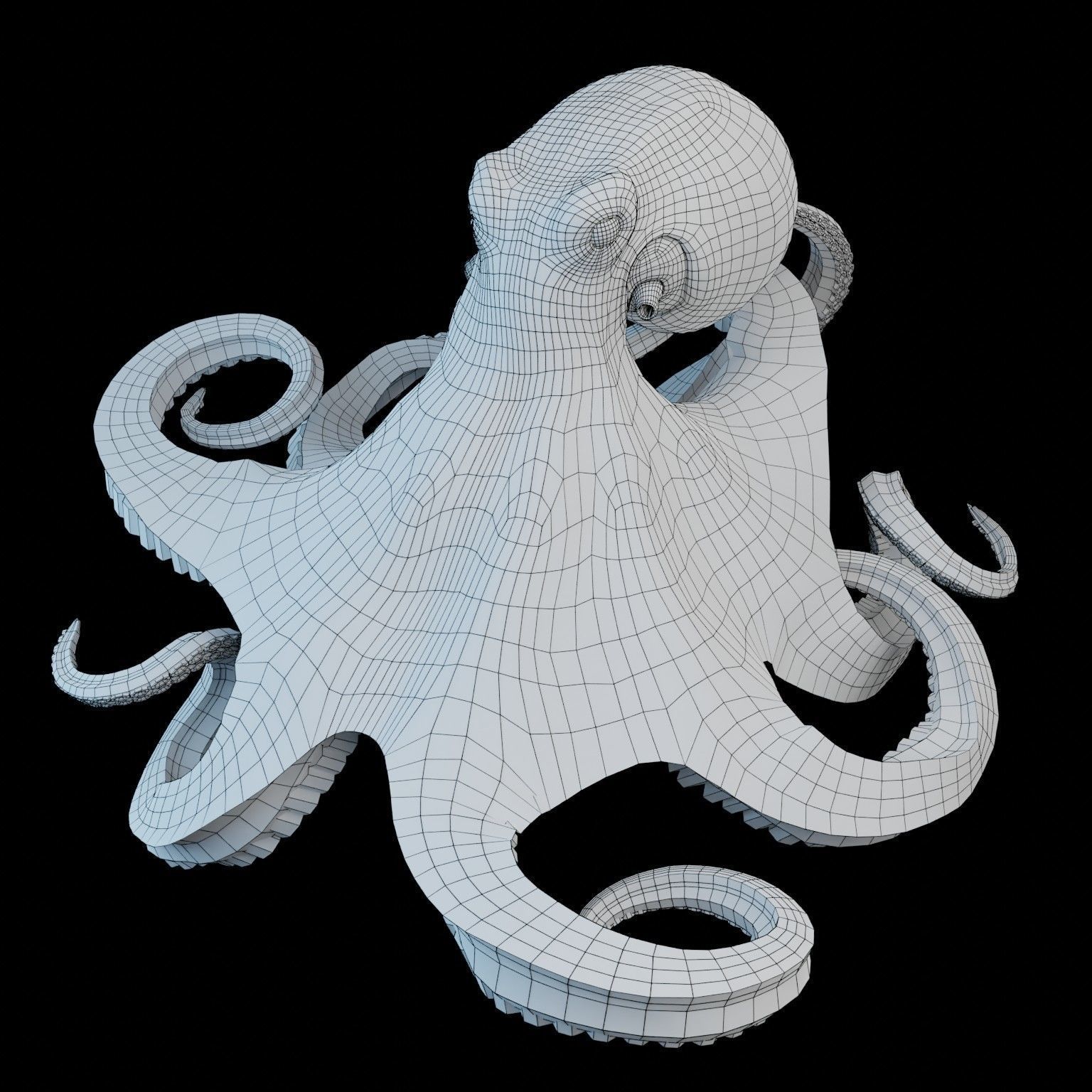Animated Octopus Low-poly 3D model_9