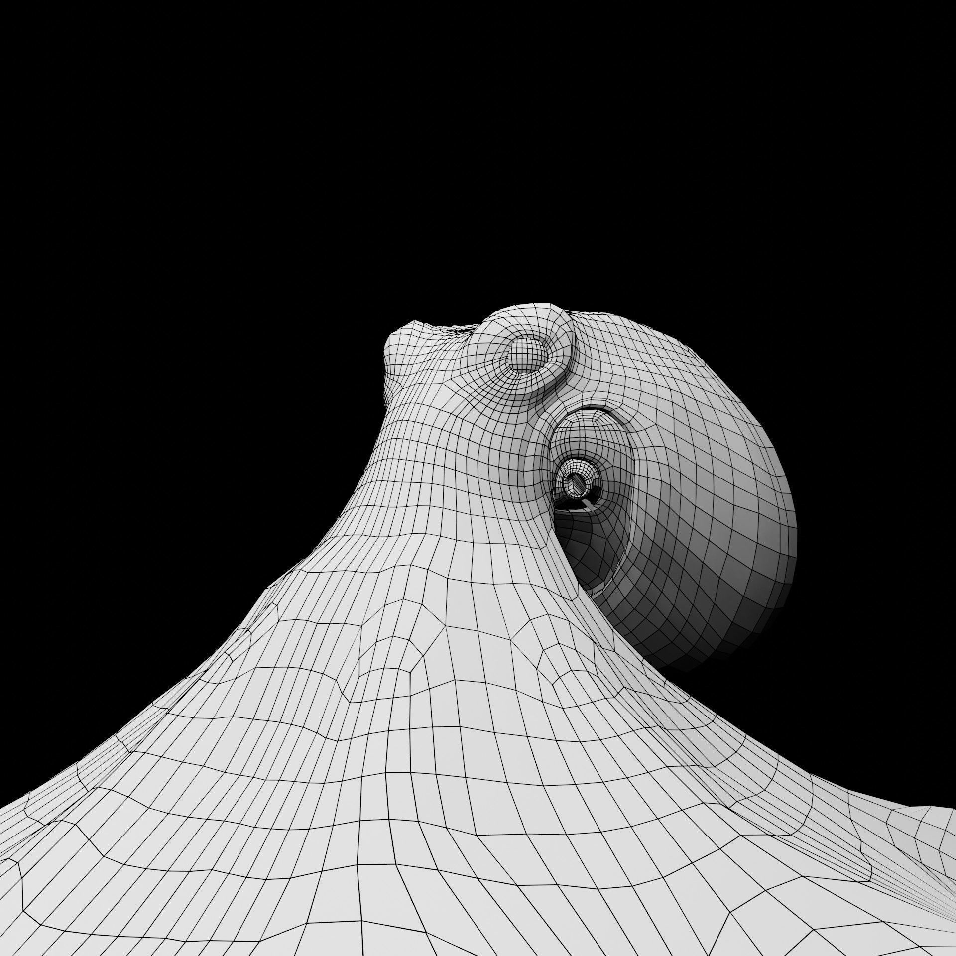 Animated Octopus Low-poly 3D model_14