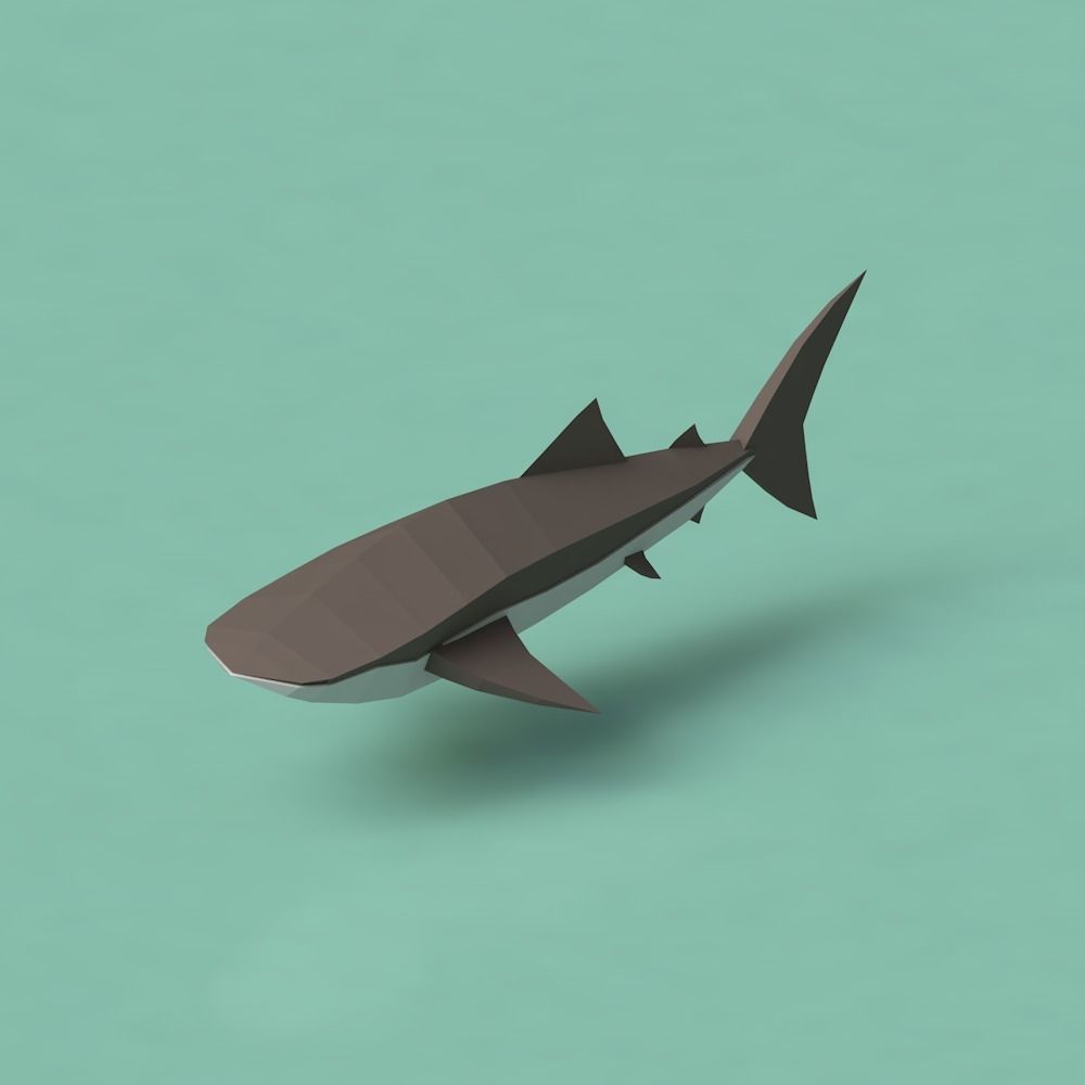 Low Poly Pirate Tropical Sea Fauna Animals Asset Pack Low-poly 3D model_4