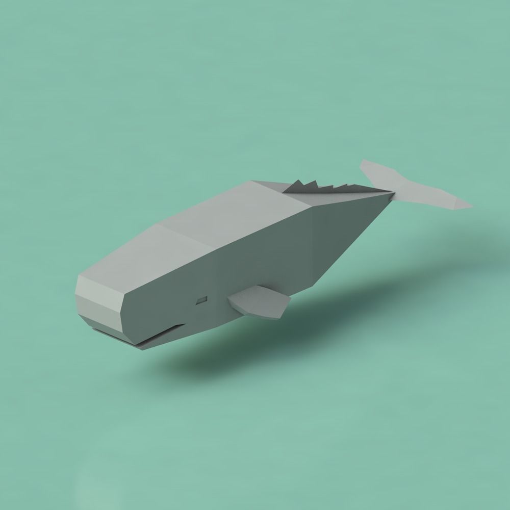 Low Poly Pirate Tropical Sea Fauna Animals Asset Pack Low-poly 3D model_2