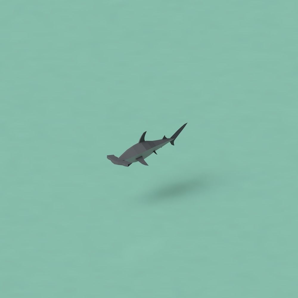 Low Poly Pirate Tropical Sea Fauna Animals Asset Pack Low-poly 3D model_6