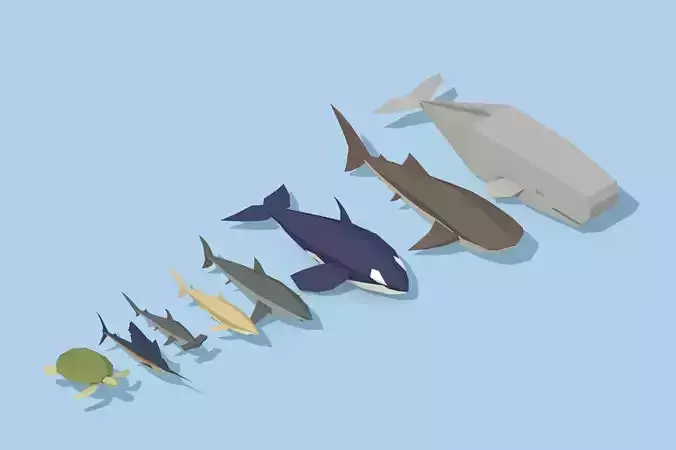 Low Poly Pirate Tropical Sea Fauna Animals Asset Pack Low-poly 3D model