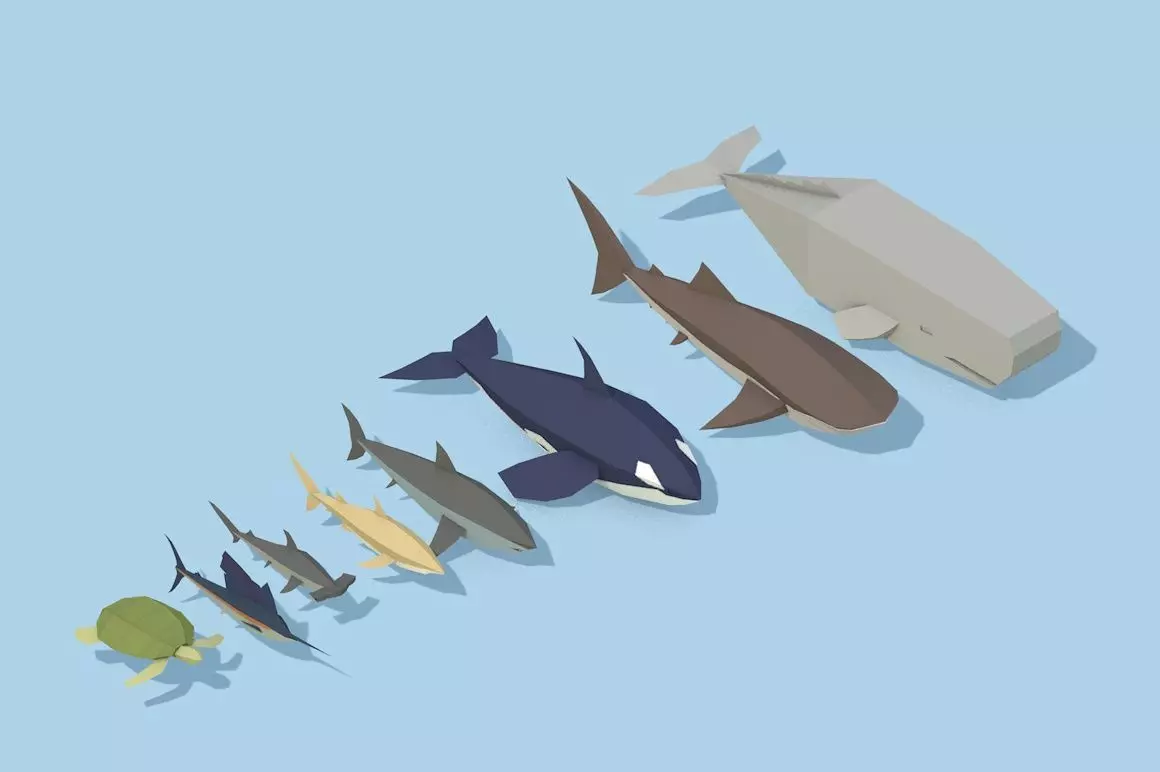 Low Poly Pirate Tropical Sea Fauna Animals Asset Pack Low-poly 3D model_0