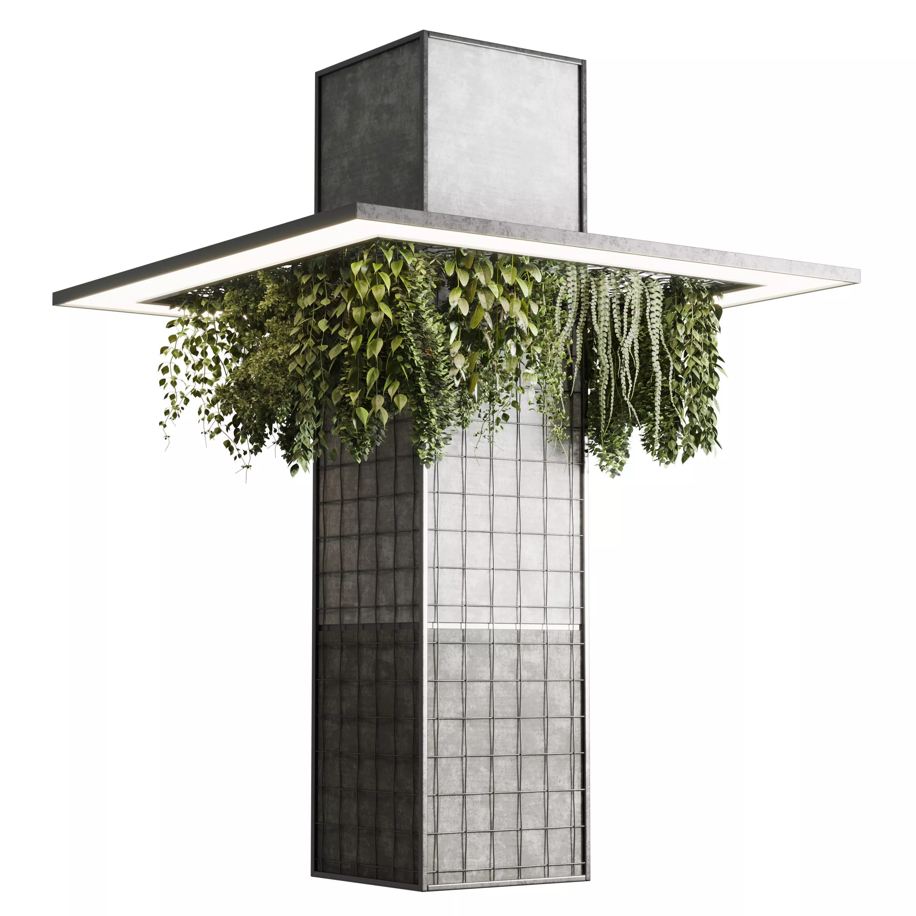 Column plant pillar plant 05 Low-poly 3D model