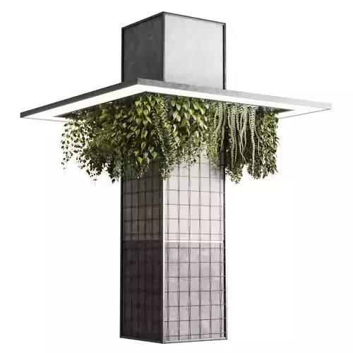 Column plant pillar plant 05