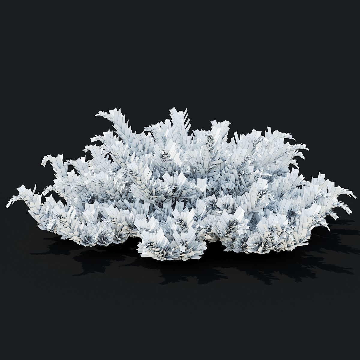 Juniperus sabina tamariscifolia 3D model_6