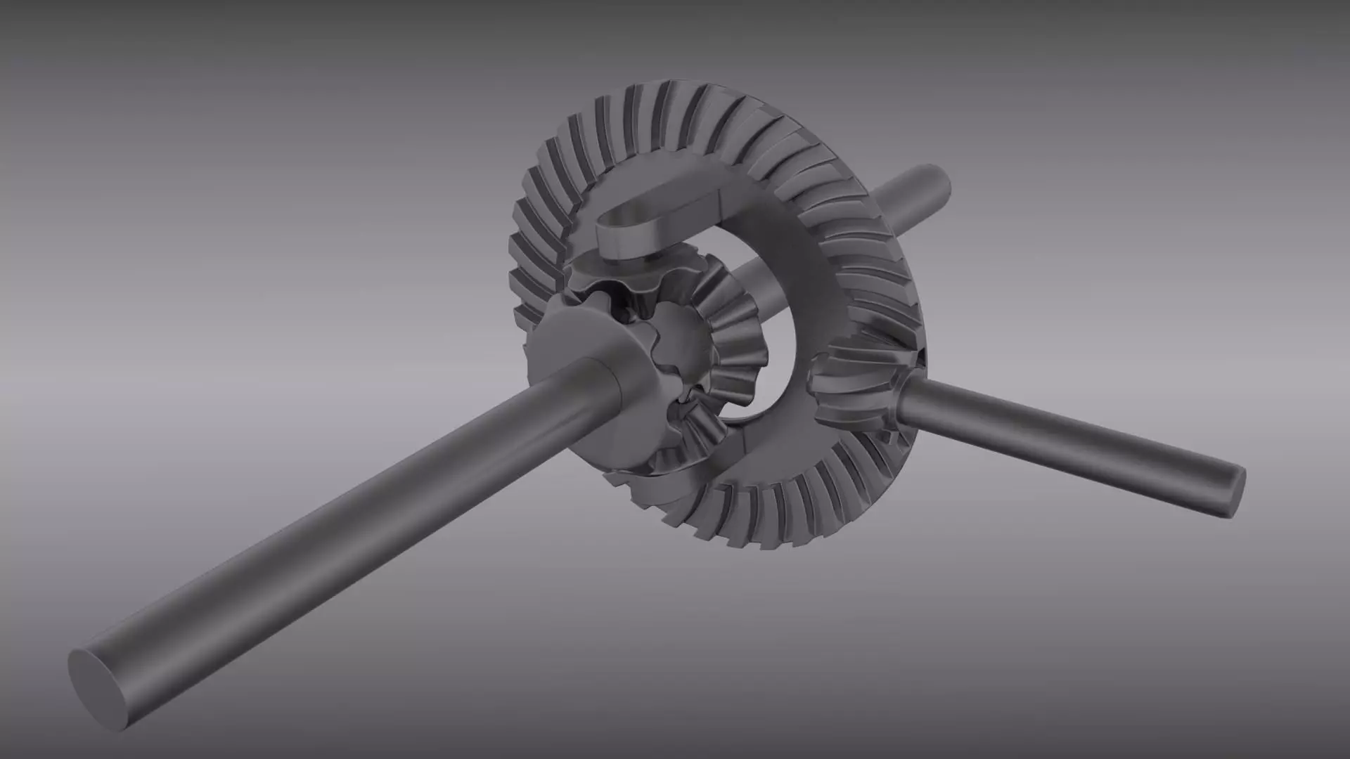 Animated differential 3D model