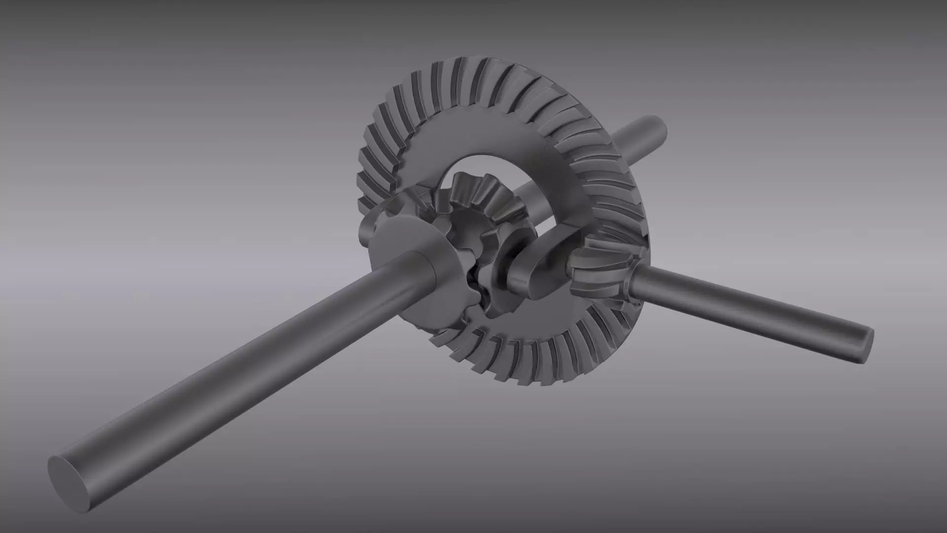 Differential gear 3D model