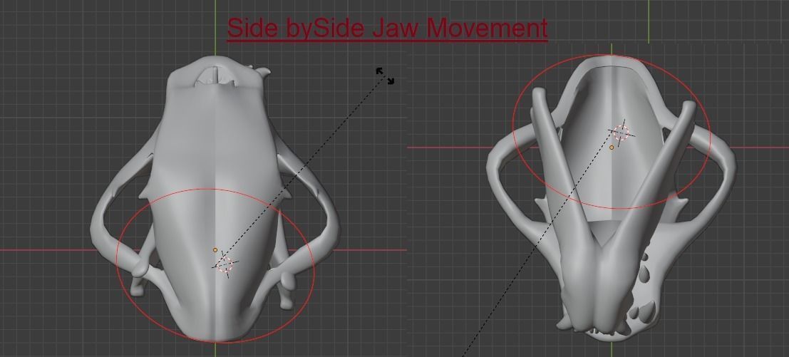 LION SKULL - LOW POLY - AR - VR - GAME DEVELOPMENT Low-poly 3D model_11