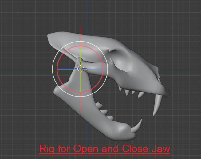 LION SKULL - LOW POLY - AR - VR - GAME DEVELOPMENT Low-poly 3D model_10