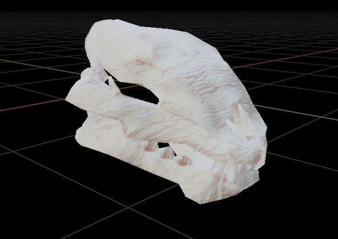 LION SKULL - LOW POLY - AR - VR - GAME DEVELOPMENT Low-poly 3D model_4