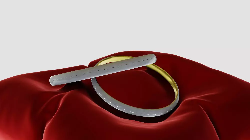 3D Ring Jewelry and Pillow low and high poly Set 3D model_0