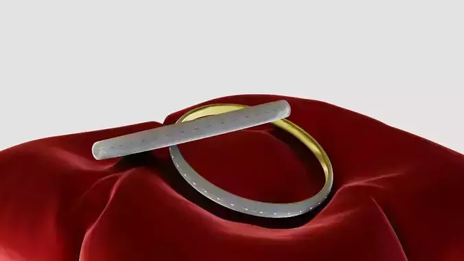 3D Ring Jewelry and Pillow low and high poly Set 3D model