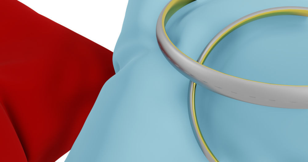 3D Ring Jewelry and Pillow low and high poly Set 3D model_29