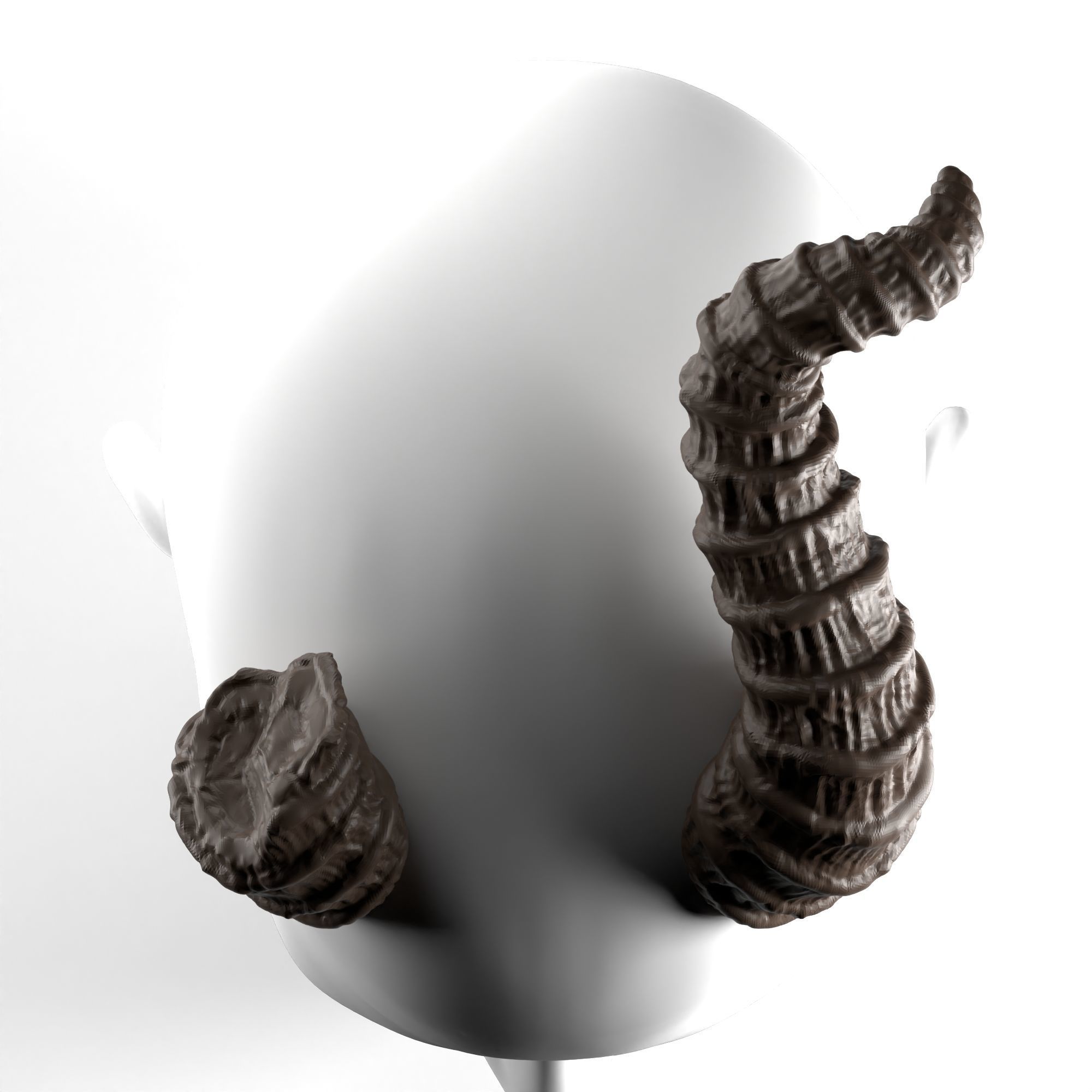 Adrienne - Large Horns with Optional Broken Side 3D print model_4