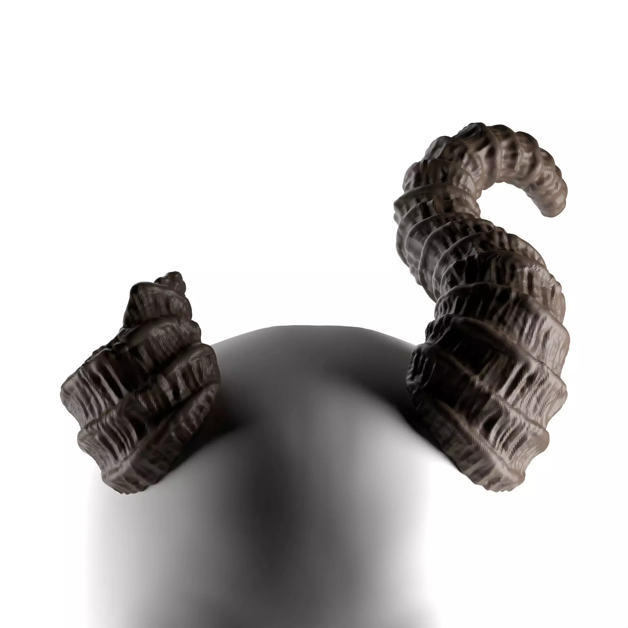 Adrienne - Large Horns with Optional Broken Side 3D print model_0