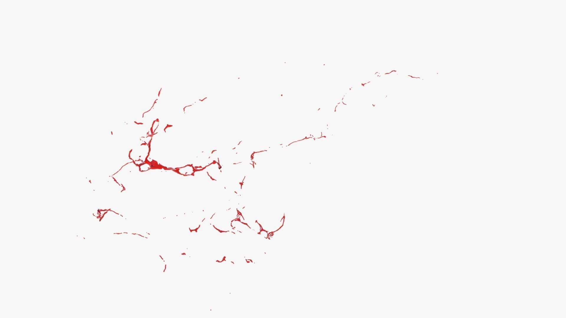 Animated Blood Splash 24 3D model_9