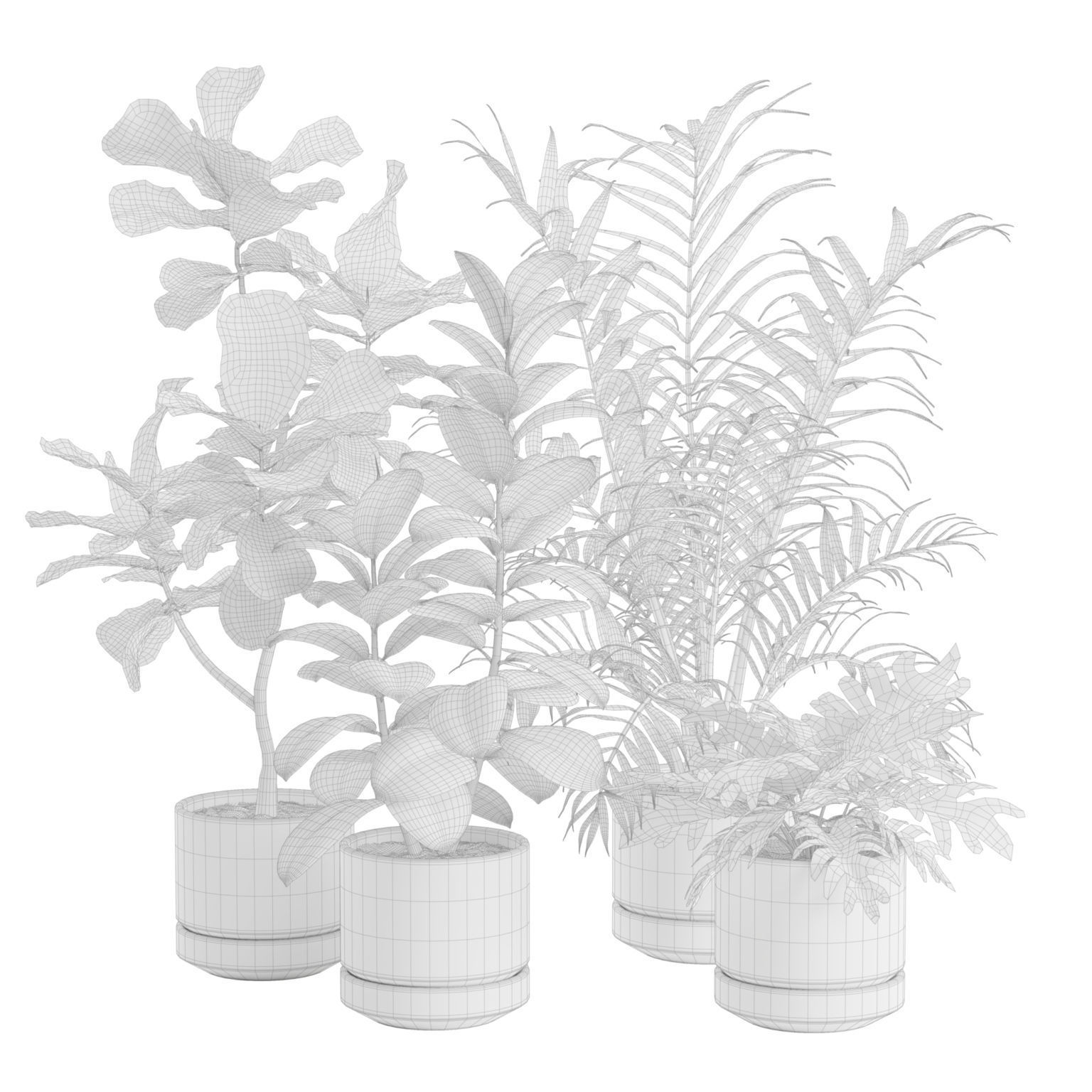 Indoor Plants Pack 31 3D model_2