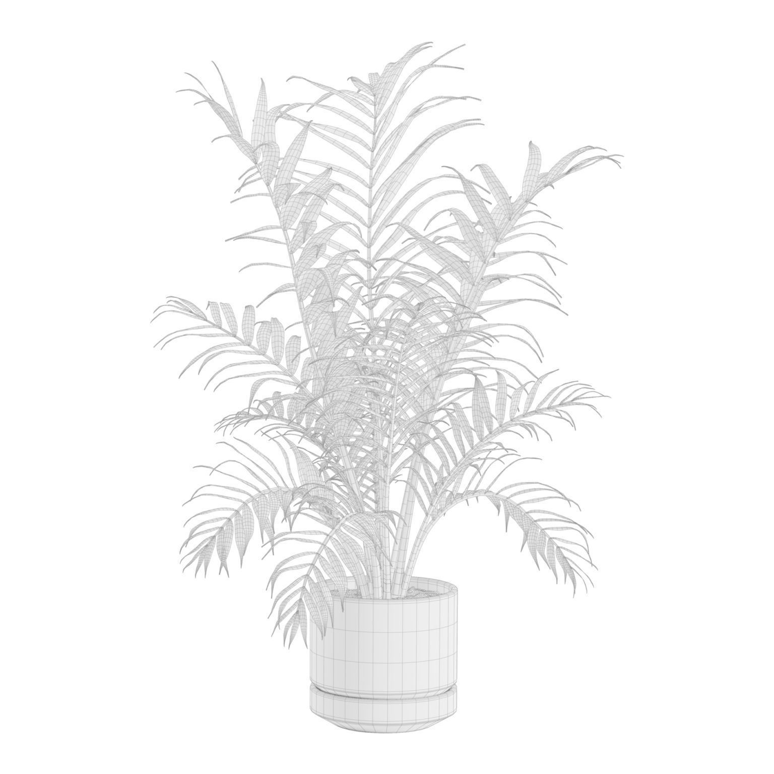 Indoor Plants Pack 31 3D model_8