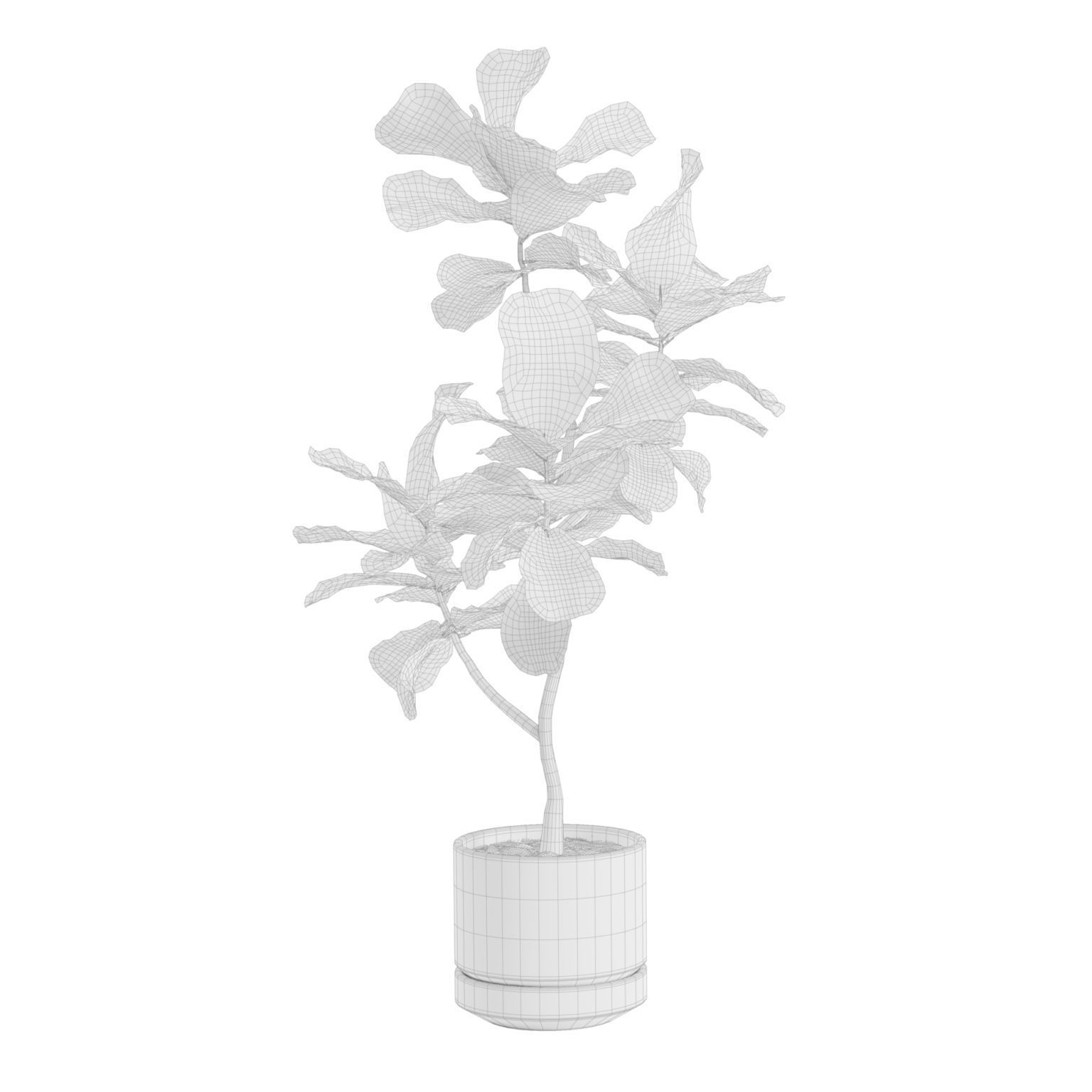Indoor Plants Pack 31 3D model_6