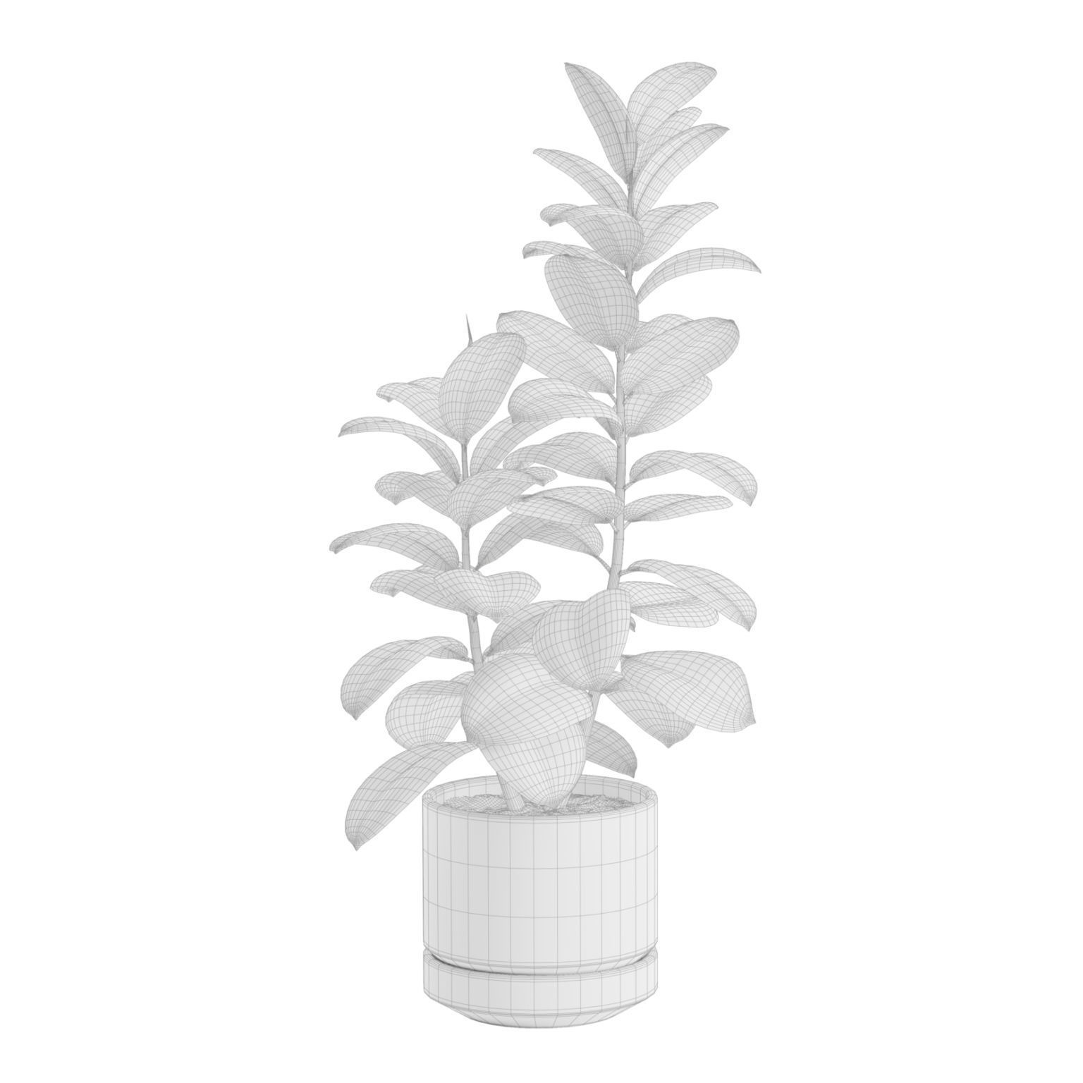 Indoor Plants Pack 31 3D model_4