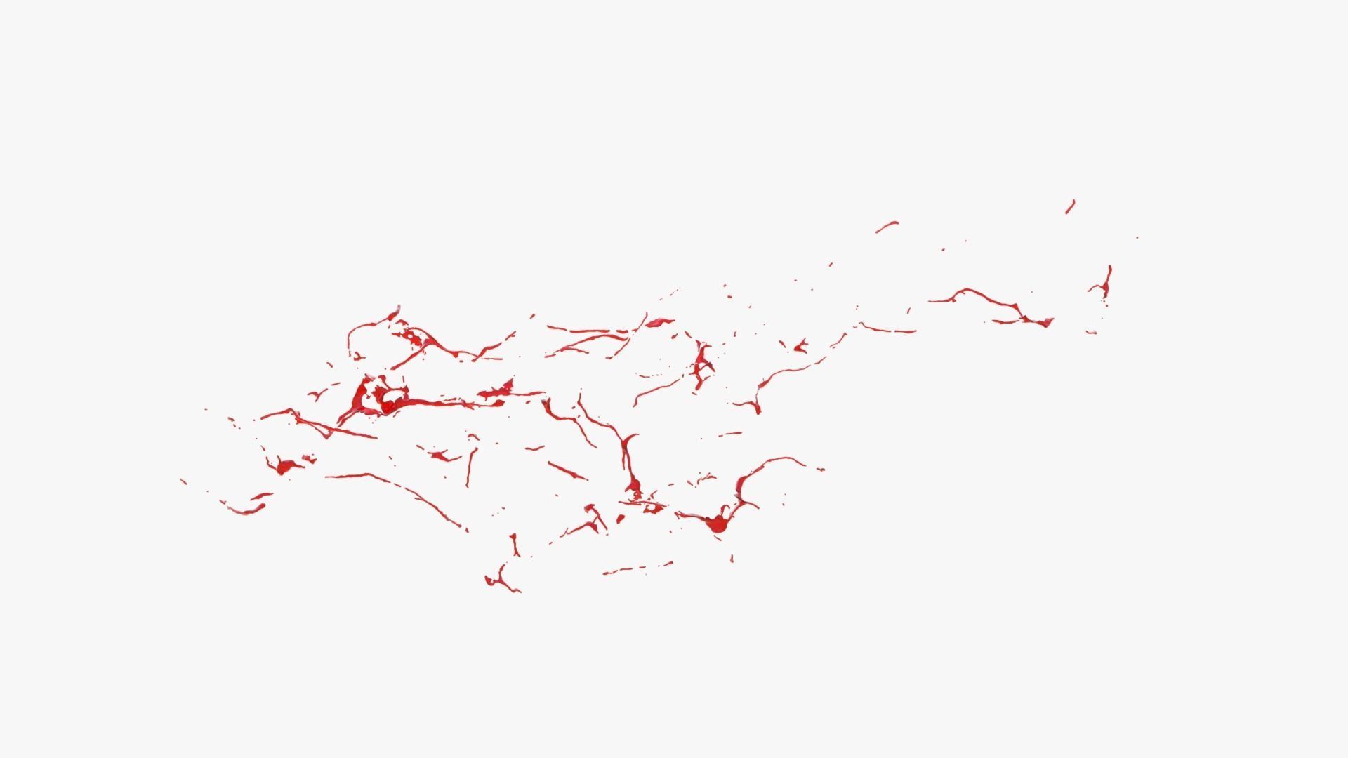 Animated Blood Splash 20 3D model_10