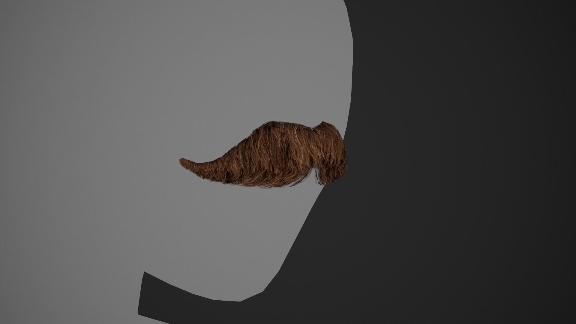 10 Facial Hair Cards Style 3D Model Collection_21