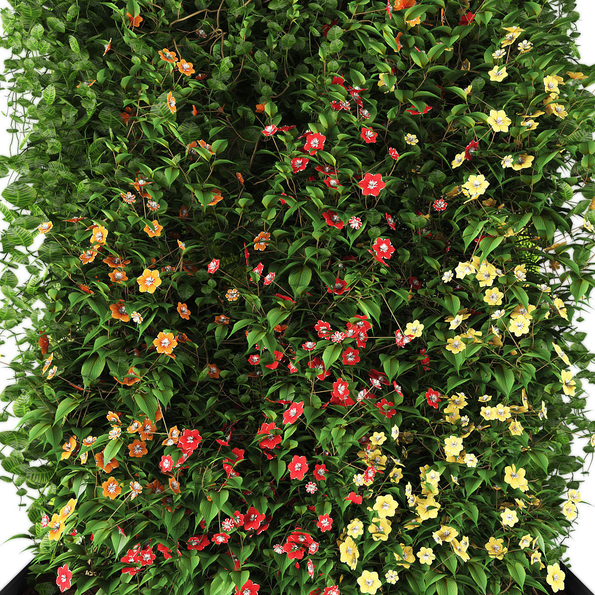 Vertical garden 187 Low-poly 3D model_1