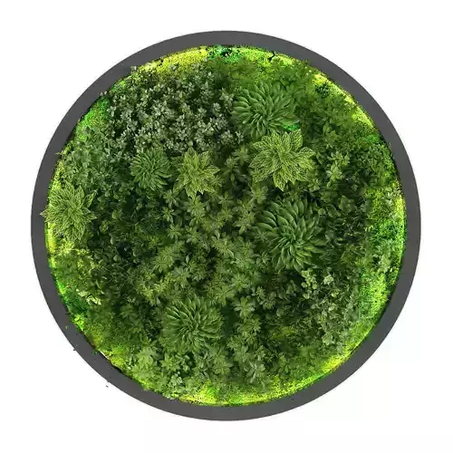 Vertical garden 188 Low-poly 3D model
