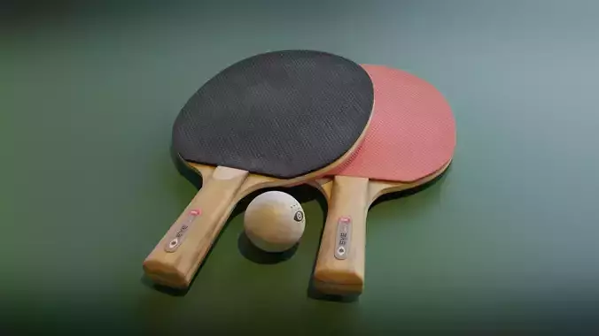 Ping Pong Racket and Ball Set