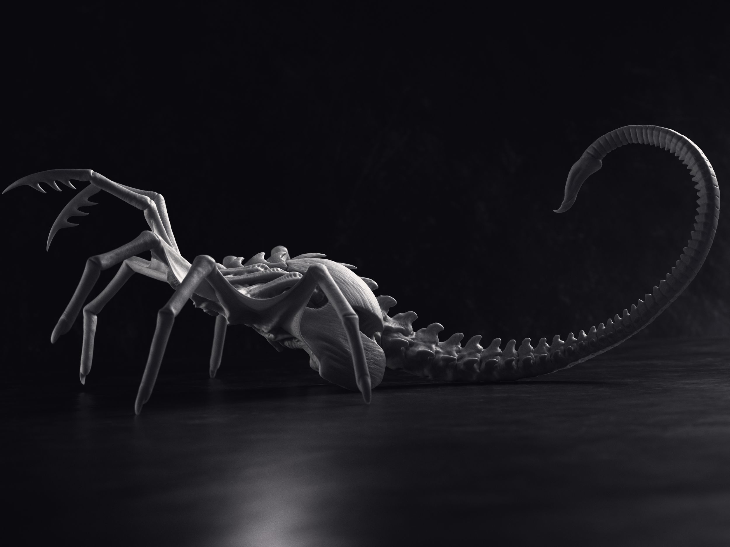 Alien Queen FaceHugger Sculpture Printable 3D Model 3D model 3D