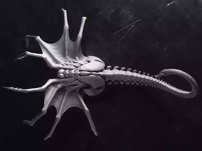 Alien Queen FaceHugger Sculpture Printable 3D Model 3D print model