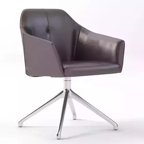 Easy Chair DS-279-201 by De Sede