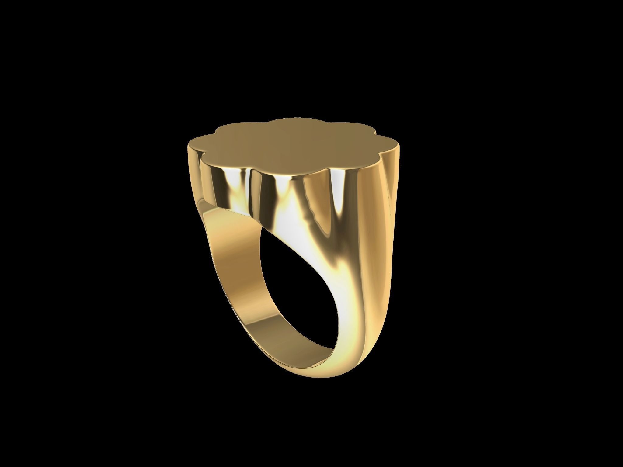 14 signet ring 3D print model_1