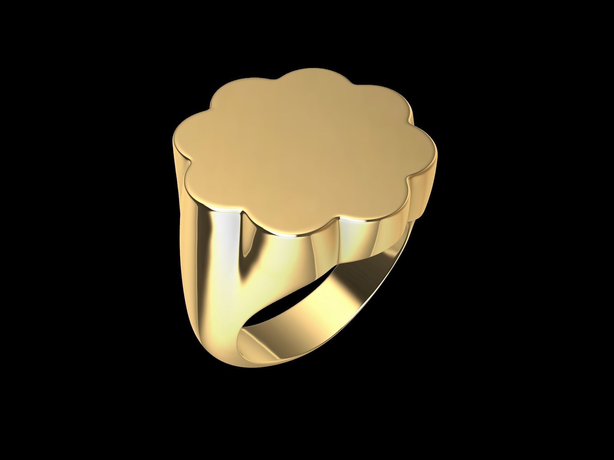 14 signet ring 3D print model_2