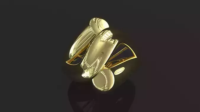 ring jewellery jewelry 