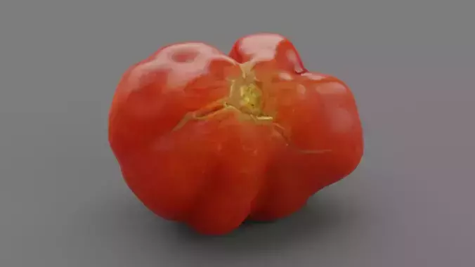 Tomato 08 high-poly