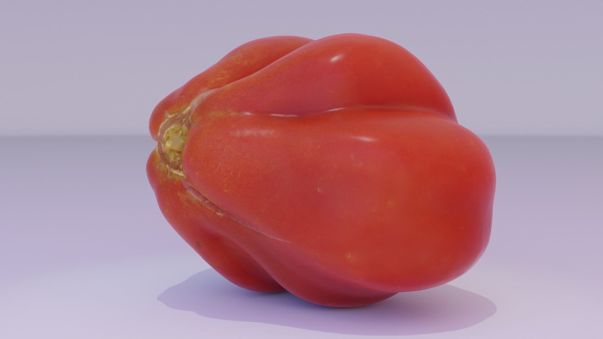Tomato 08 high-poly 3D model_21