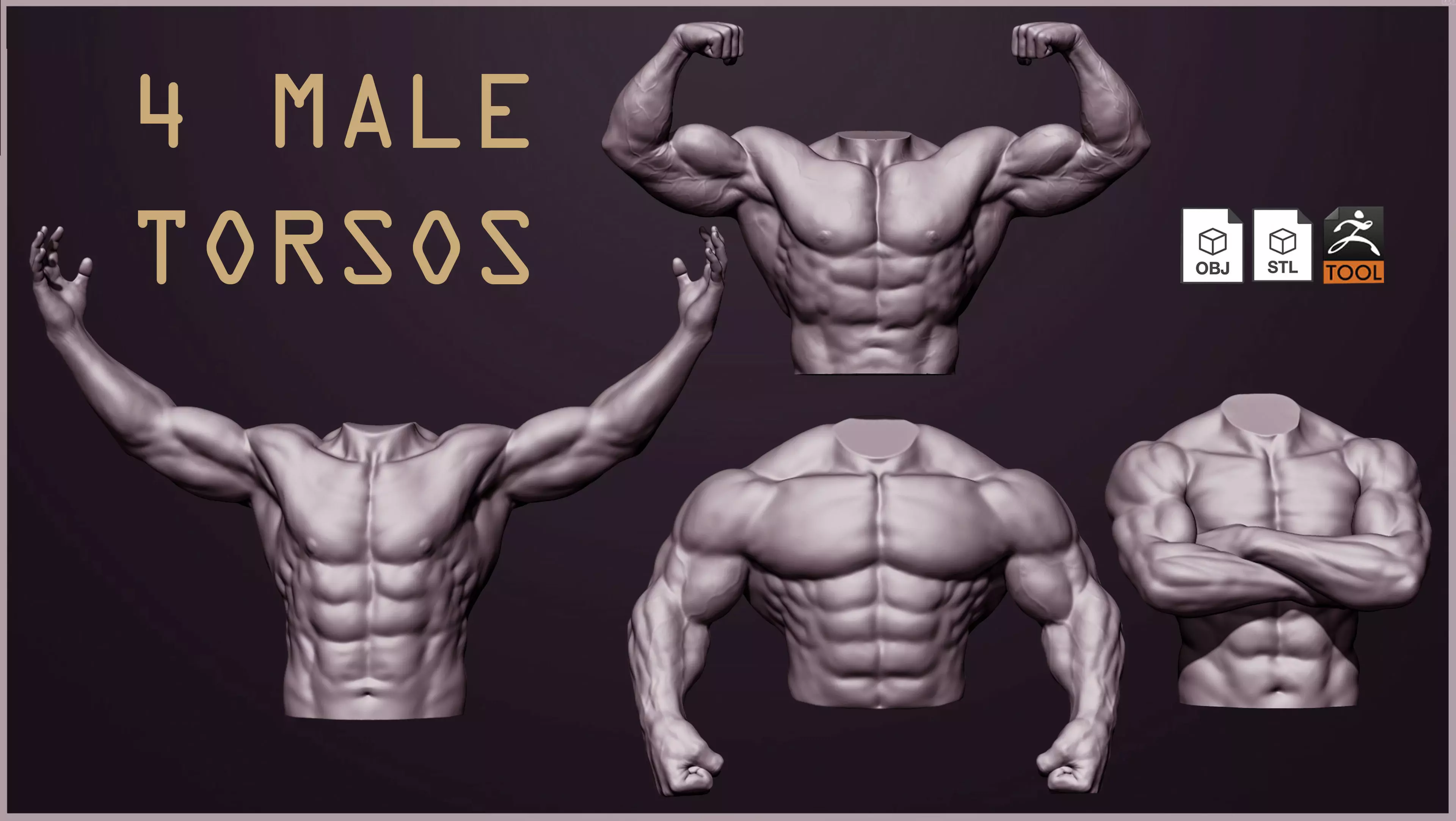 4 Male torsos Free 3D model