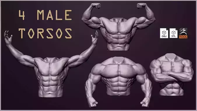 4 Male torsos