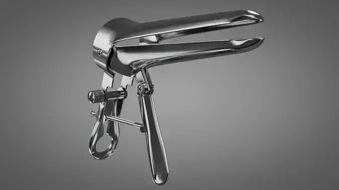 High-Quality Genital Spiculum Model