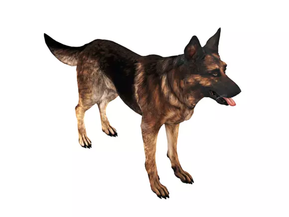 German dog Free 3D model
