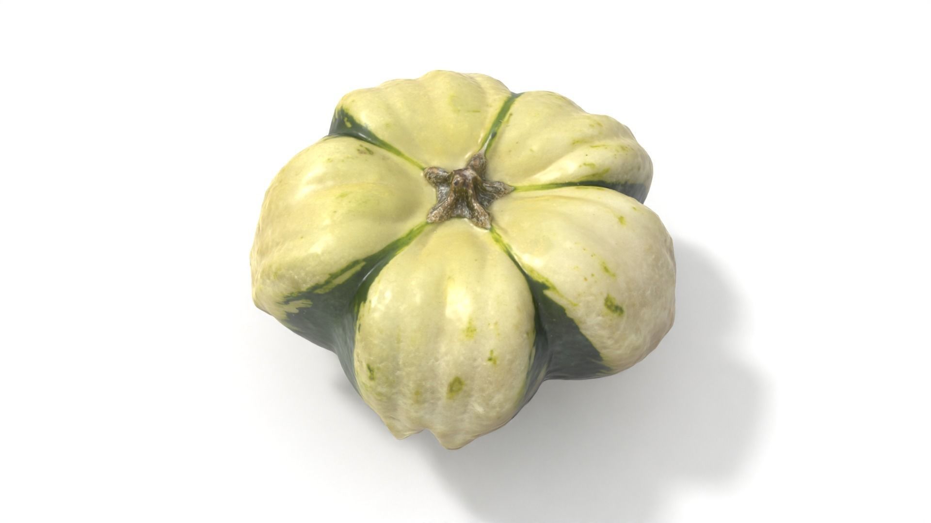 Decorative Gourd Pumpkin Squash Flower 3D Scan 3D model_2