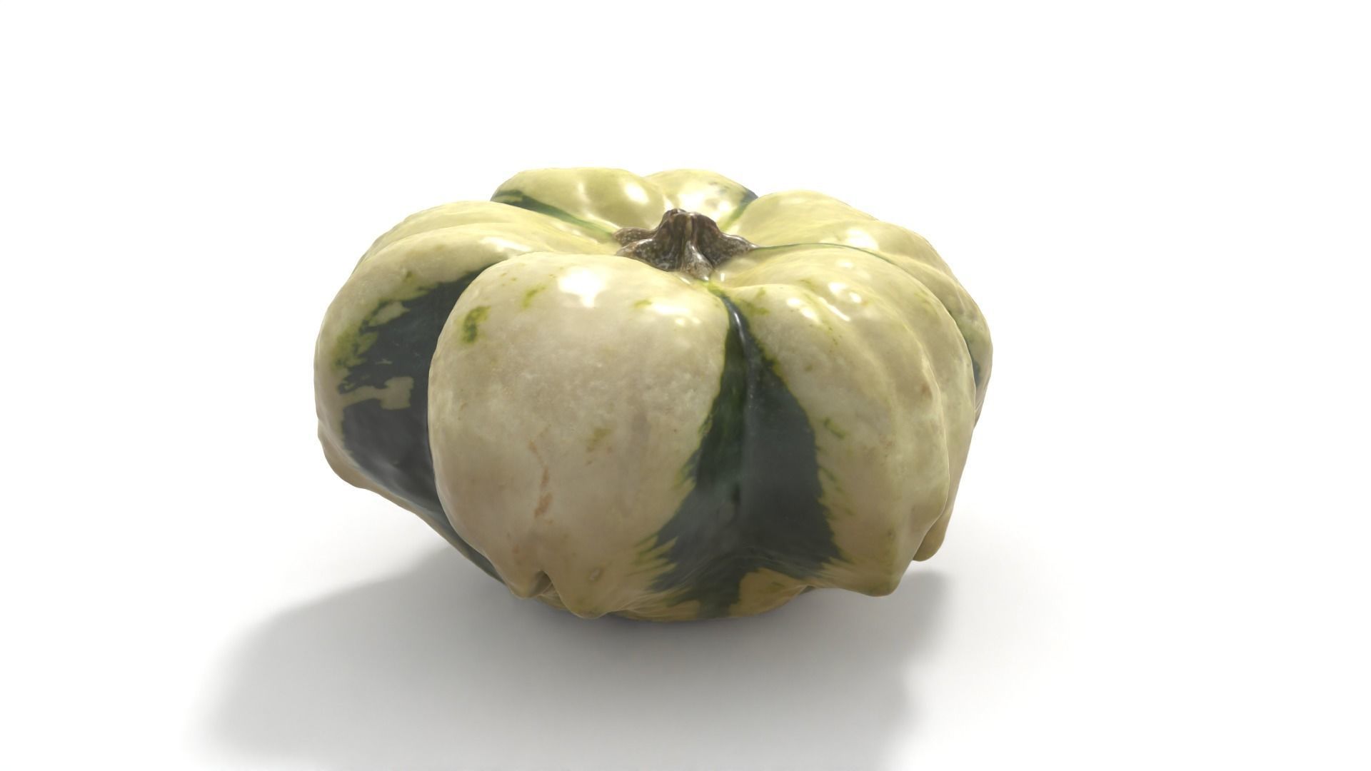 Decorative Gourd Pumpkin Squash Flower 3D Scan 3D model_9