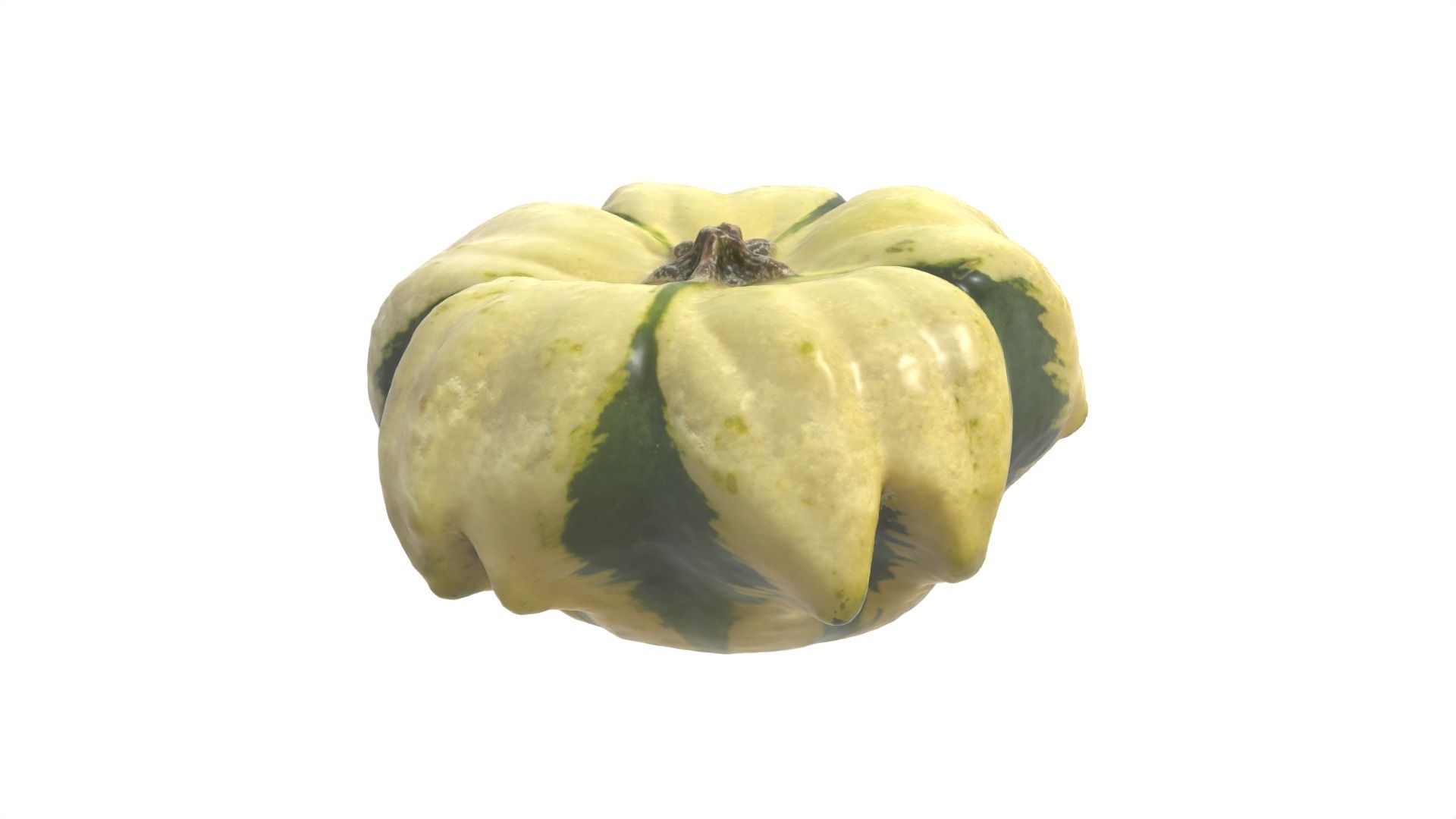Decorative Gourd Pumpkin Squash Flower 3D Scan 3D model_11